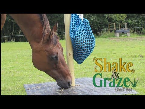 Shake & Graze Chaff Net