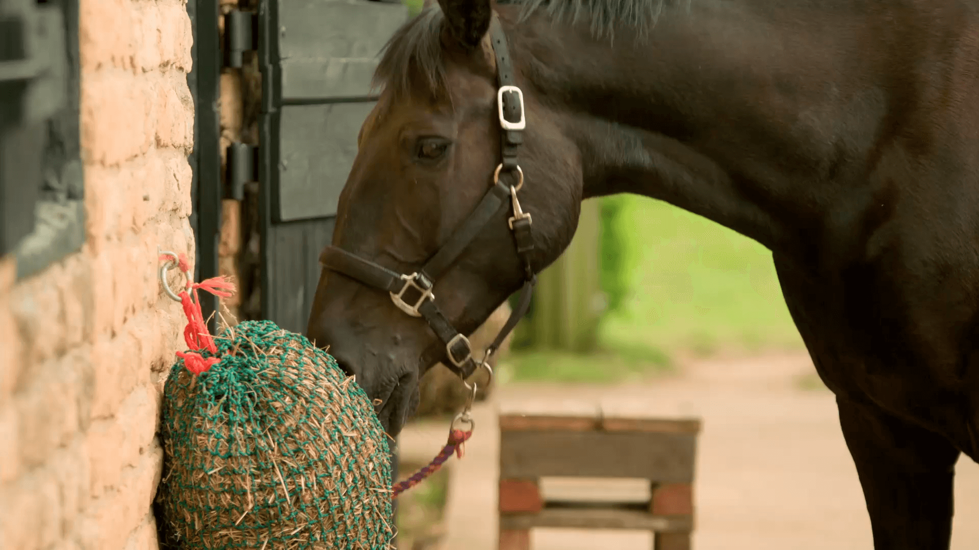 GREEDY FEEDER HORSE/PONY HAY NET STONG DURABLE QUALITY SLOW FEEDER 