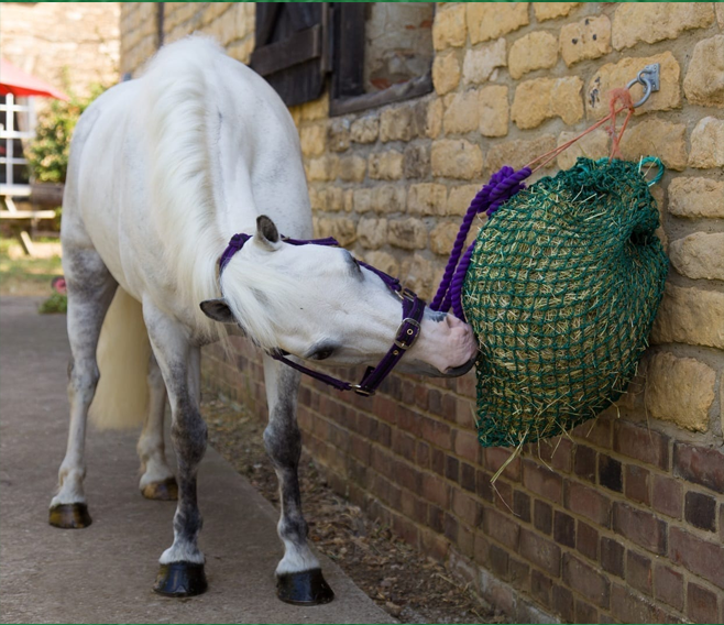 Strong Durable Quality Slow Feeder Horse Pony Hay Net Haylage GREEDY FEEDER 